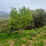 foto 0 - Ascea terreno agricolo a Salerno in Vendita