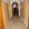 foto 4 - a Trepuzzi abitazione indipendente a Lecce in Vendita