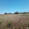 foto 6 - Sassari terreno agricolo con rudere a Sassari in Vendita