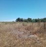 foto 1 - Sassari terreno agricolo con rudere a Sassari in Vendita