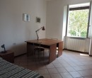 Annuncio affitto Forlì per studenti camera singola