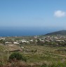 foto 5 - Pantelleria cedesi terreno a vigneto a Trapani in Vendita
