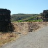 foto 4 - Pantelleria cedesi terreno a vigneto a Trapani in Vendita