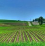 foto 1 - zona di Vest di Romania terreni agricoli a Romania in Vendita