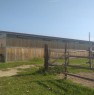 foto 13 - Medolla magazzino stalla per cavalli a Modena in Vendita