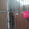 foto 5 - Medolla magazzino stalla per cavalli a Modena in Vendita