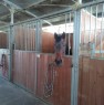 foto 0 - Medolla magazzino stalla per cavalli a Modena in Vendita