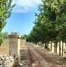 foto 8 - Ortelle terreno agricolo impiantato a mandorleto a Lecce in Vendita