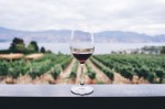Annuncio vendita Roncade azienda vitivinicola