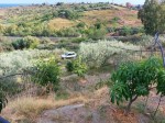 Annuncio vendita Taormina terreno coltivato
