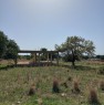 foto 0 - Scicli terreno con fabbricati rustici a Ragusa in Vendita