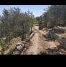 foto 7 - Caltabellotta da privato appezzamento di terreno a Agrigento in Vendita