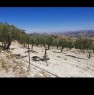 foto 6 - Caltabellotta da privato appezzamento di terreno a Agrigento in Vendita