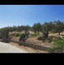 foto 5 - Caltabellotta da privato appezzamento di terreno a Agrigento in Vendita