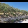 foto 4 - Caltabellotta da privato appezzamento di terreno a Agrigento in Vendita