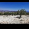 foto 3 - Caltabellotta da privato appezzamento di terreno a Agrigento in Vendita