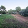 foto 4 - terreno agricolo a San Cataldo a Lecce in Vendita
