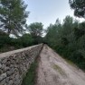foto 2 - terreno agricolo a San Cataldo a Lecce in Vendita