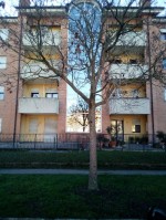 Annuncio vendita Vicenza mini e attici duplex mai abitati