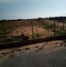 foto 4 - Campobello di Mazara terreno recintato a Trapani in Vendita
