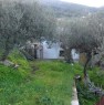 foto 5 - Lascari casa con terreno a Palermo in Vendita