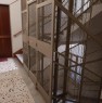 foto 8 - Salerno appartamento con 2 bagni a Salerno in Vendita