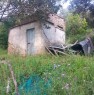 foto 4 - Casal Velino terreno agricolo a Salerno in Vendita