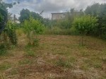Annuncio vendita Grosseto orto sito in localit Poderina