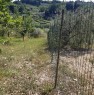 foto 3 - Rosignano Marittimo terreno agricolo a Livorno in Vendita