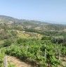 foto 18 - terreno agricolo in Serramenzano a Torano Castello a Cosenza in Vendita