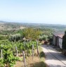 foto 17 - terreno agricolo in Serramenzano a Torano Castello a Cosenza in Vendita