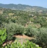 foto 13 - terreno agricolo in Serramenzano a Torano Castello a Cosenza in Vendita
