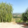 foto 7 - terreno agricolo in Serramenzano a Torano Castello a Cosenza in Vendita