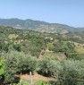 foto 6 - terreno agricolo in Serramenzano a Torano Castello a Cosenza in Vendita