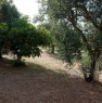 foto 0 - terreno zona Marde nel comune di Novoli a Lecce in Vendita