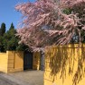 foto 44 - Zagarolo villa con giardino a Roma in Vendita