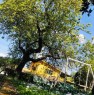 foto 23 - Zagarolo villa con giardino a Roma in Vendita