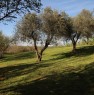 foto 13 - Gallese villino immerso nella natura a Viterbo in Vendita