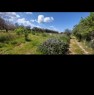 foto 12 - Calasetta terreno agricolo a Carbonia-Iglesias in Vendita