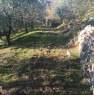 foto 2 - Fontechiari terreno uliveto a Frosinone in Vendita