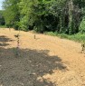 foto 7 - La Morra terreno agricolo coltivato a nocciole a Cuneo in Vendita