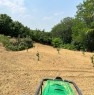 foto 0 - La Morra terreno agricolo coltivato a nocciole a Cuneo in Vendita