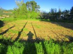 Annuncio vendita Traversagna a Pietrasanta terreno agricolo