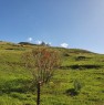 foto 7 - terreno agricolo sito a Condofuri a Reggio di Calabria in Vendita