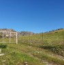 foto 6 - terreno agricolo sito a Condofuri a Reggio di Calabria in Vendita